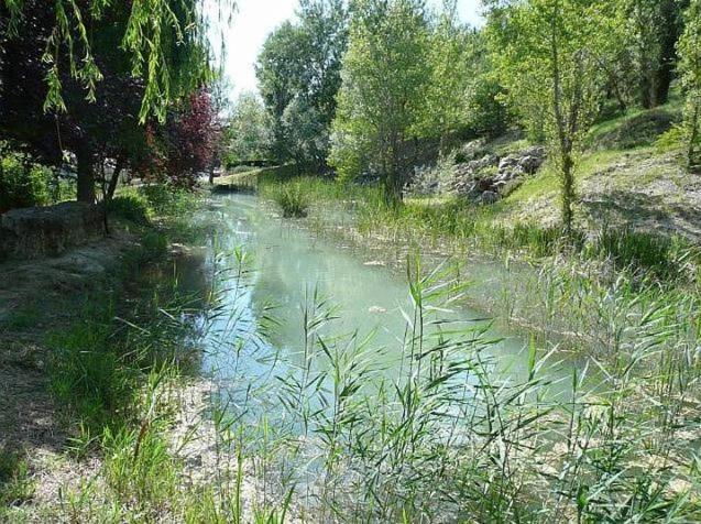 Saint-Martin-de-Brômes Mazet De Vacances Dans Le Domaine De L'Espai מראה חיצוני תמונה